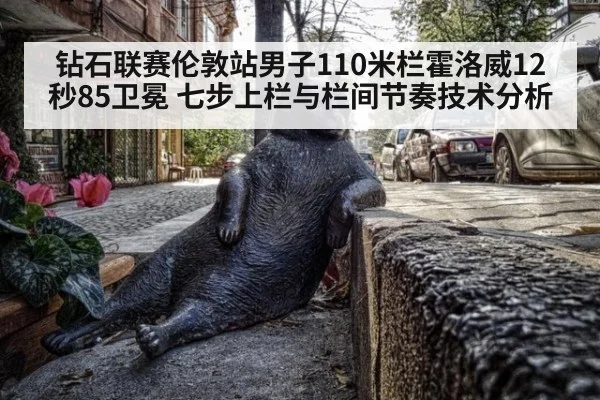 钻石联赛伦敦站男子110米栏霍洛威12秒85卫冕 七步上栏与栏间节奏技术分析